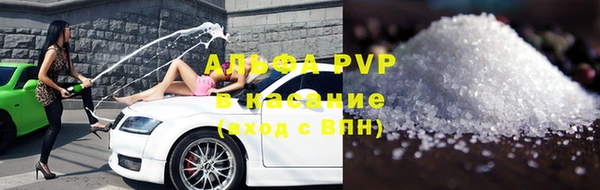 прущие грибы Алзамай