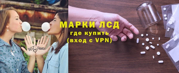 прущие грибы Алзамай