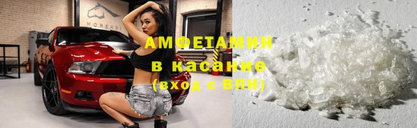 прущие грибы Алзамай