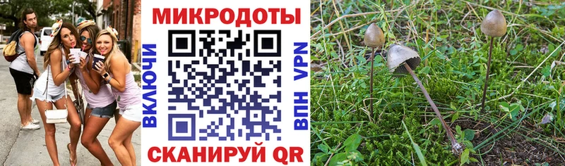 наркошоп  Новоульяновск  Псилоцибиновые грибы мицелий 