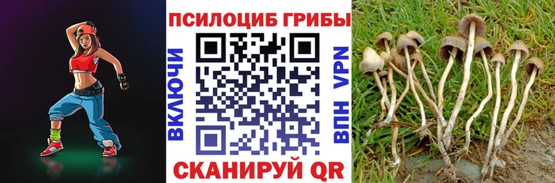 Псилоцибиновые грибы мицелий Новоульяновск
