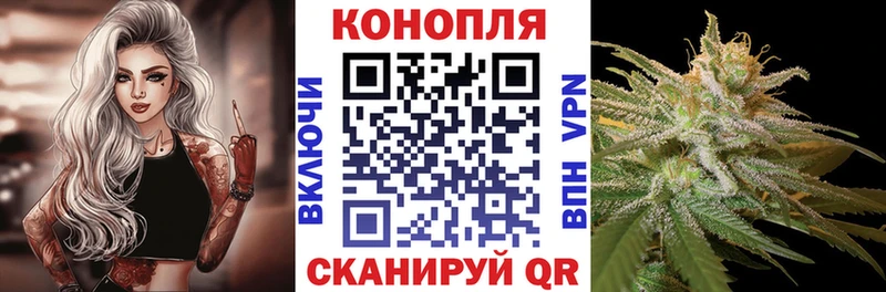 купить цена Новоульяновск Бошки Шишки планчик